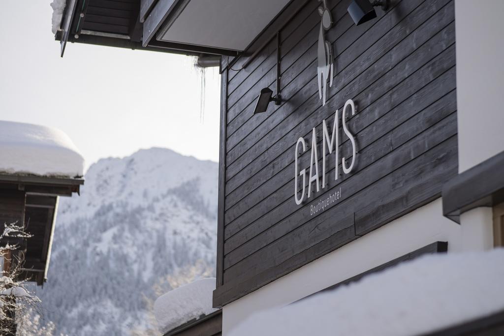 Boutique Hotel Gams โอเบอร์สทดอร์ฟ ภายนอก รูปภาพ